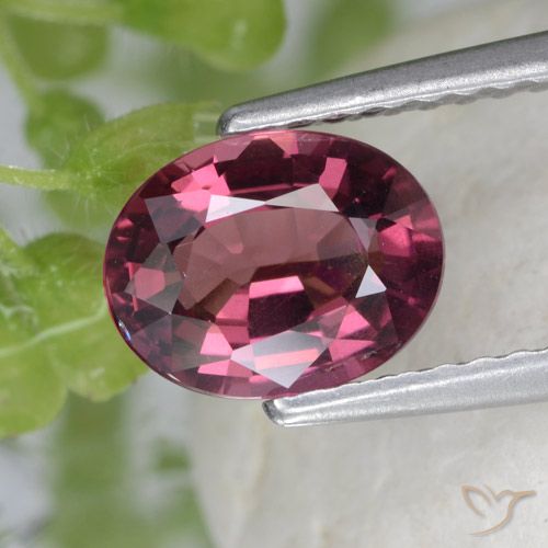 1.53ct 天然 中紫色 红榴石石榴石, 椭圆形, VS