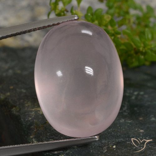 27.49ct 天然 浅淡粉色 芙蓉石, 椭圆形, 半透明