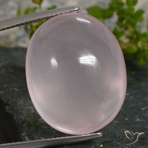 35.16ct 天然 珊瑚粉 芙蓉石, 椭圆形, 半透明