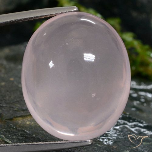 26.44ct 天然 浅淡粉色 芙蓉石, 椭圆形, 半透明