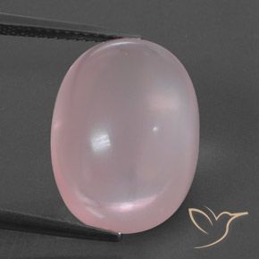 15.59ct 天然 浅淡粉色 芙蓉石, 椭圆形, 透明