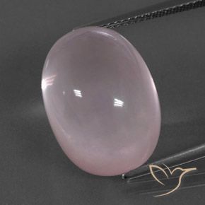 19.58ct 天然 珊瑚粉 芙蓉石, 椭圆形, 透明