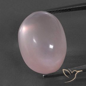 19.49ct 天然 浅粉色 芙蓉石, 椭圆形, 透明