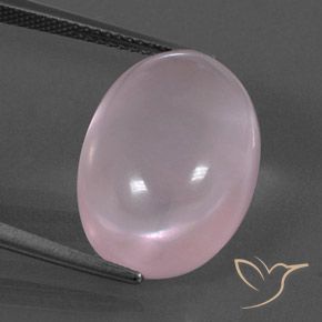 15.59ct 天然 中粉红色 芙蓉石, 椭圆形, 透明