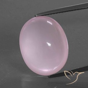 15.78ct 天然 泡泡糖粉色 芙蓉石, 椭圆形, 透明