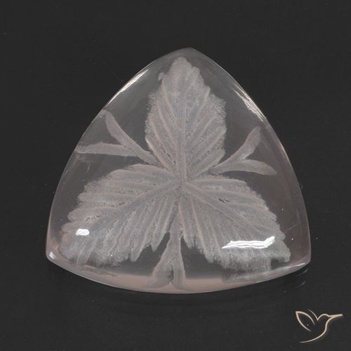 10.38ct 天然 无色 芙蓉石, 胖三角形, 透明