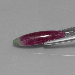 3.94克拉天然多色红宝石黝帘石，马眼形，18.4×5.6毫米，不透明