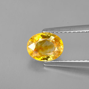 1.33克拉天然黄色蓝宝石，椭圆形切割，7.2×5.6毫米，VVS-VS