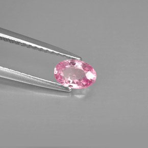 0.60克拉天然粉色蓝宝石，椭圆形切割，6.1×4.1毫米，VVS