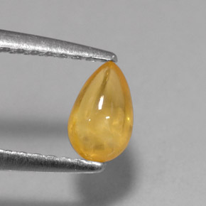 0.59克拉天然黄色蓝宝石，透明，6.1×3.9毫米，透明/半透明