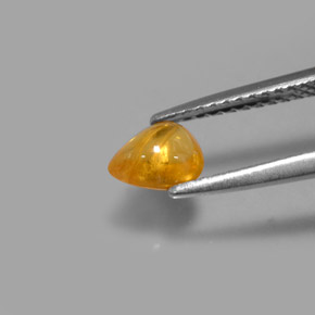 0.75克拉天然黄色蓝宝石，透明，6.2×4.8毫米，透明/半透明
