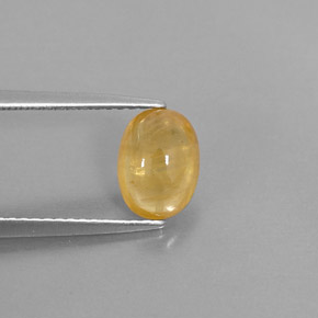 1.74克拉天然黄金色蓝宝石，透明，8.1×6毫米，透明/半透明