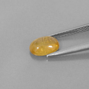 1.74克拉天然黄金色蓝宝石，透明，8.1×6毫米，透明/半透明