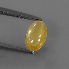 0.85克拉天然黄色蓝宝石，透明，7.4×4.5毫米，透明/半透明