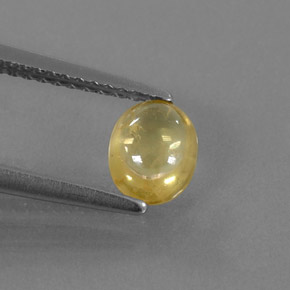 0.87克拉天然黄色蓝宝石，透明，6.3×5.1毫米，透明/半透明