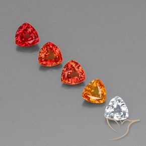 1.64天然多色蓝宝石，三角形，4.1×4.1毫米，VVS-VS