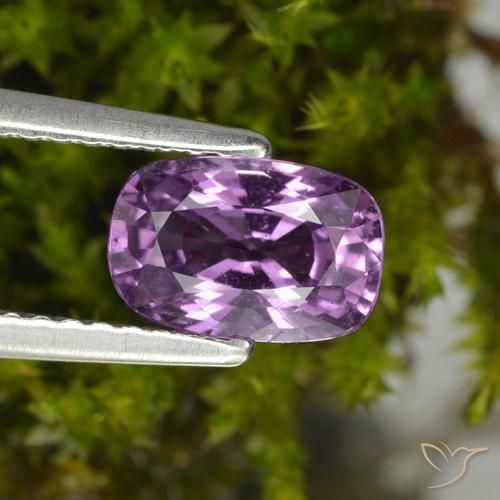 1.42ct 天然 中紫色 蓝宝石, 软垫, VS