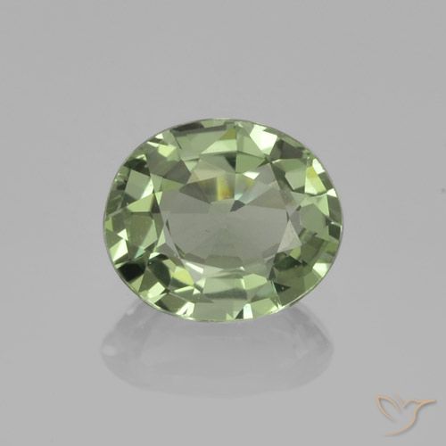 0.75ct 天然 浅绿色 蓝宝石, 椭圆形, VVS