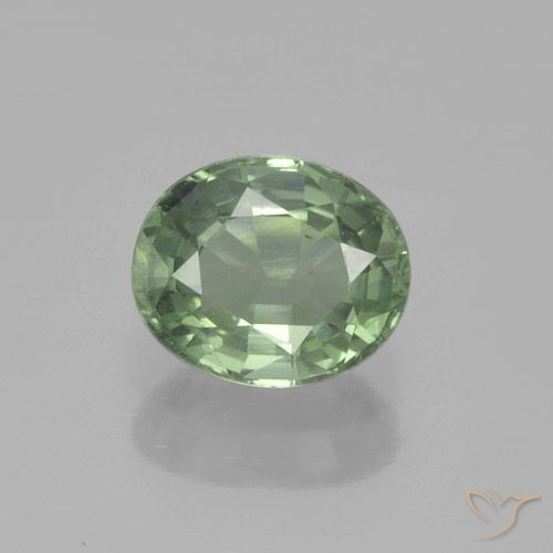 0.88ct 天然 浅森林绿 蓝宝石, 椭圆形, VS