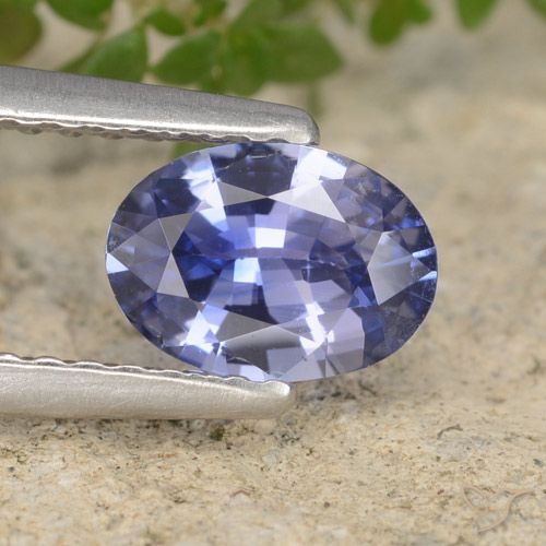 0.71ct 天然 中号海军蓝 蓝宝石, 椭圆形, VVS-VS