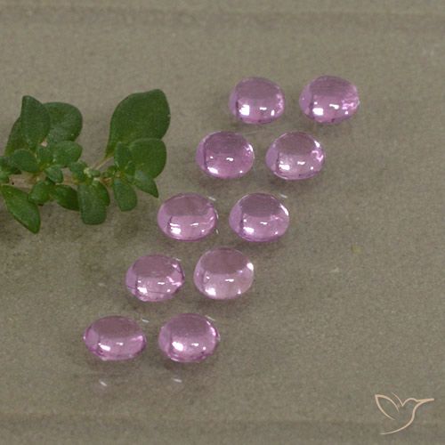 1.53ctw 天然 紫粉红 蓝宝石, 圆形的, 透明