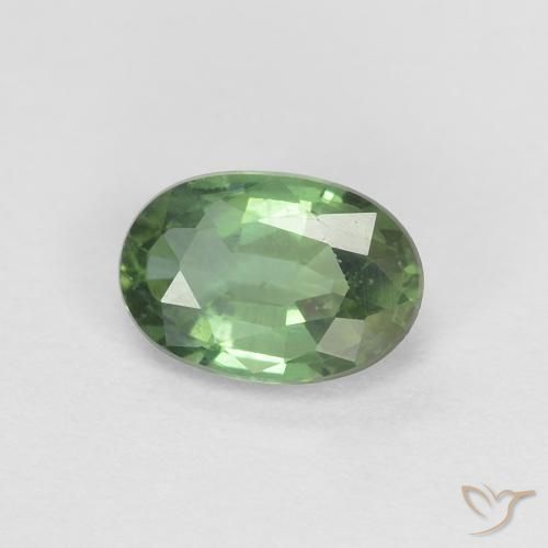 0.53ct 天然 森林绿 蓝宝石, 椭圆形, VVS-VS