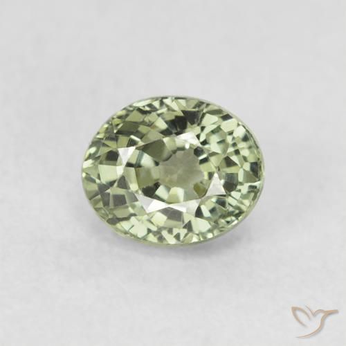0.68ct 天然 浅森林绿 蓝宝石, 椭圆形, VVS