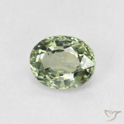 0.60ct 天然 鼠尾草绿 蓝宝石, 椭圆形, VVS-VS