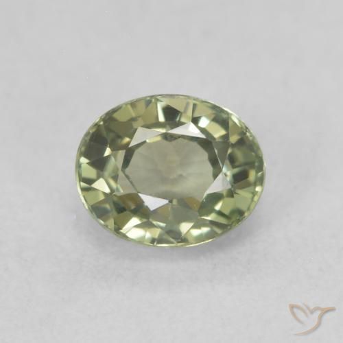 0.67ct 天然 温暖的森林绿 蓝宝石, 椭圆形, VVS