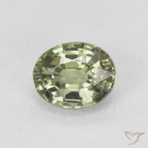 0.64ct 天然 鼠尾草绿 蓝宝石, 椭圆形, VVS