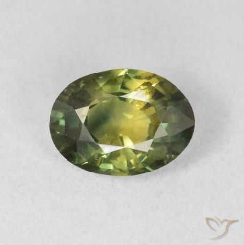 1.37ct 天然 森林绿 蓝宝石, 椭圆形, VS