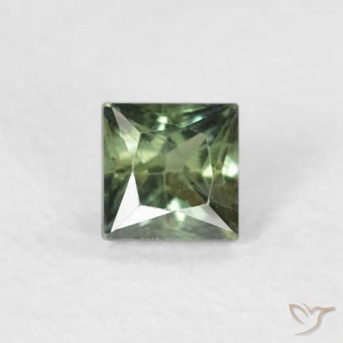 0.24ct 天然 暗绿色 蓝宝石, 正方形, VS