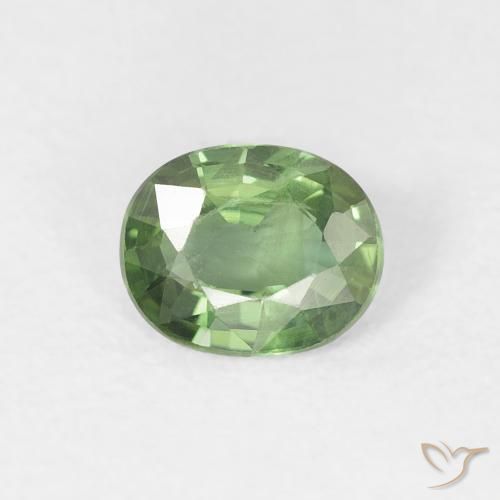 0.70ct 天然 深绿色 蓝宝石, 椭圆形, VS