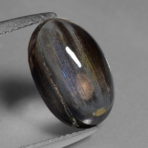 3.55克拉天然方舟石，椭圆形切割，透明