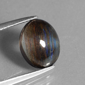 2.54克拉天然方舟石，椭圆形切割，半透明