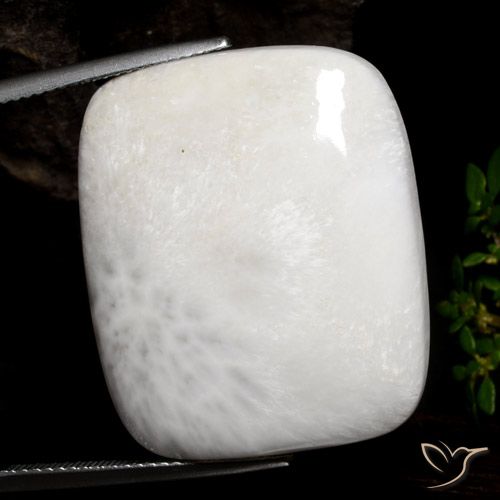 30.85ct 天然 浅白色 硅藻土, 软垫, 不透明