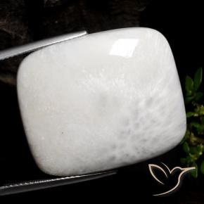 30.85克拉天然硅藻土，软垫，不透明