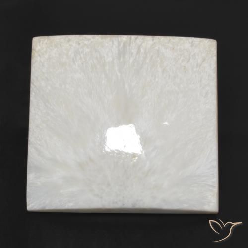 79.97ct 天然 乳白色 硅藻土, 正方形, 不透明