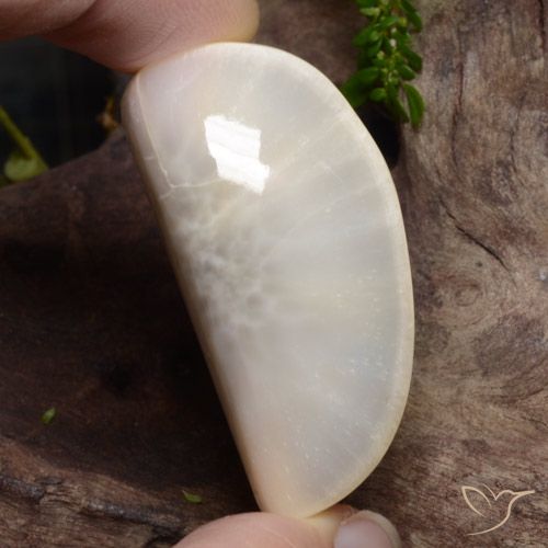 63.74ct 天然 白色 硅藻土, 花式切割, 不透明