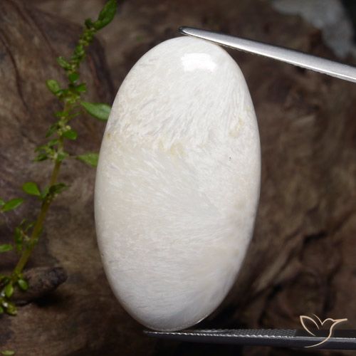 35.18ct 天然 浅白色 硅藻土, 椭圆形, 不透明