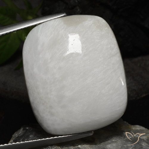23.86ct 天然 浅灰白色 硅藻土, 软垫, 不透明