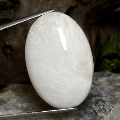 38.06ct 天然 浅灰白色 硅藻土, 椭圆形, 不透明