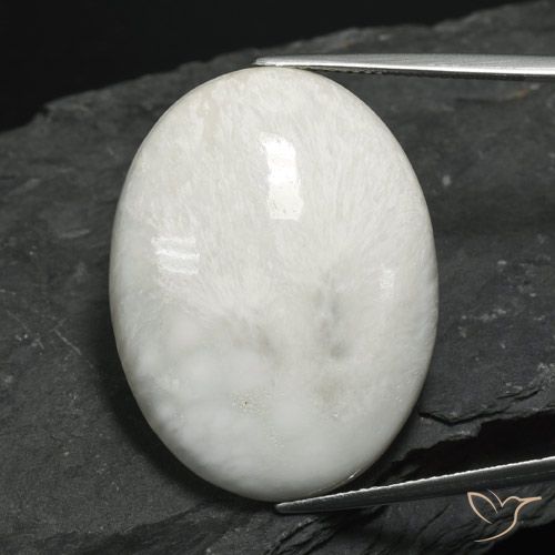 27.94ct 天然 浅灰白色 硅藻土, 椭圆形, 不透明