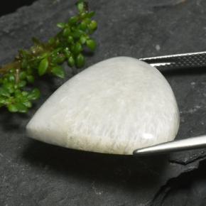 17.14克拉天然硅藻土，梨形，不透明