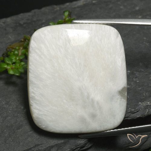 24.36ct 天然 浅灰白色 硅藻土, 软垫, 不透明