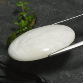 15.77克拉天然沸石，椭圆形切割，不透明