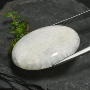 22.74克拉天然硅藻土，椭圆形切割，不透明