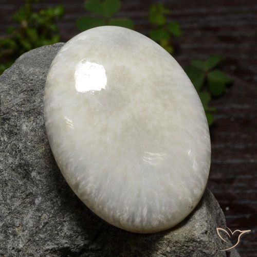 30.79ct 天然 米白色 硅藻土, 椭圆形, 不透明