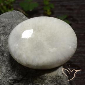 30.79克拉天然硅藻土，椭圆形，不透明