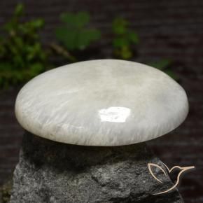 30.79克拉天然硅藻土，椭圆形，不透明